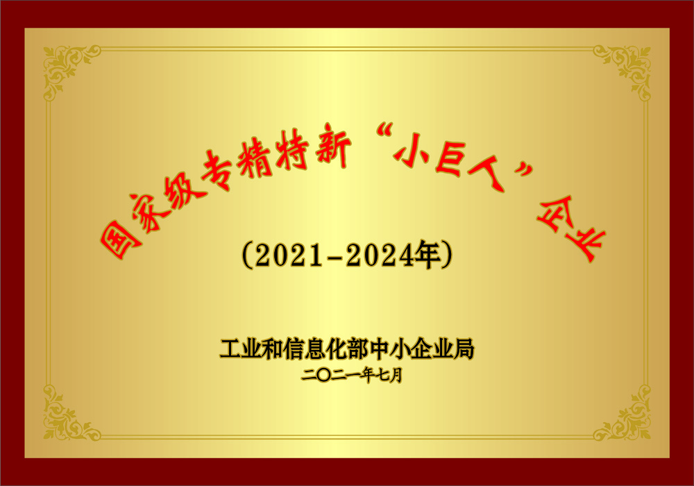 國家級(jí)專精特新“小巨人”企業(yè)